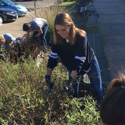 A New Way of Critical Thinking