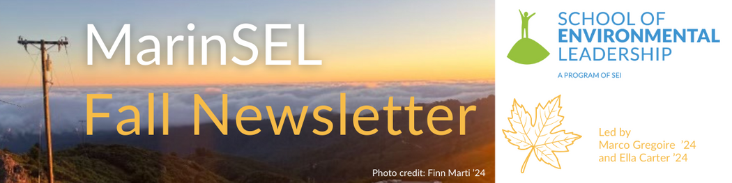 MarinSEL Fall Newsletter